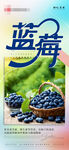 蓝莓