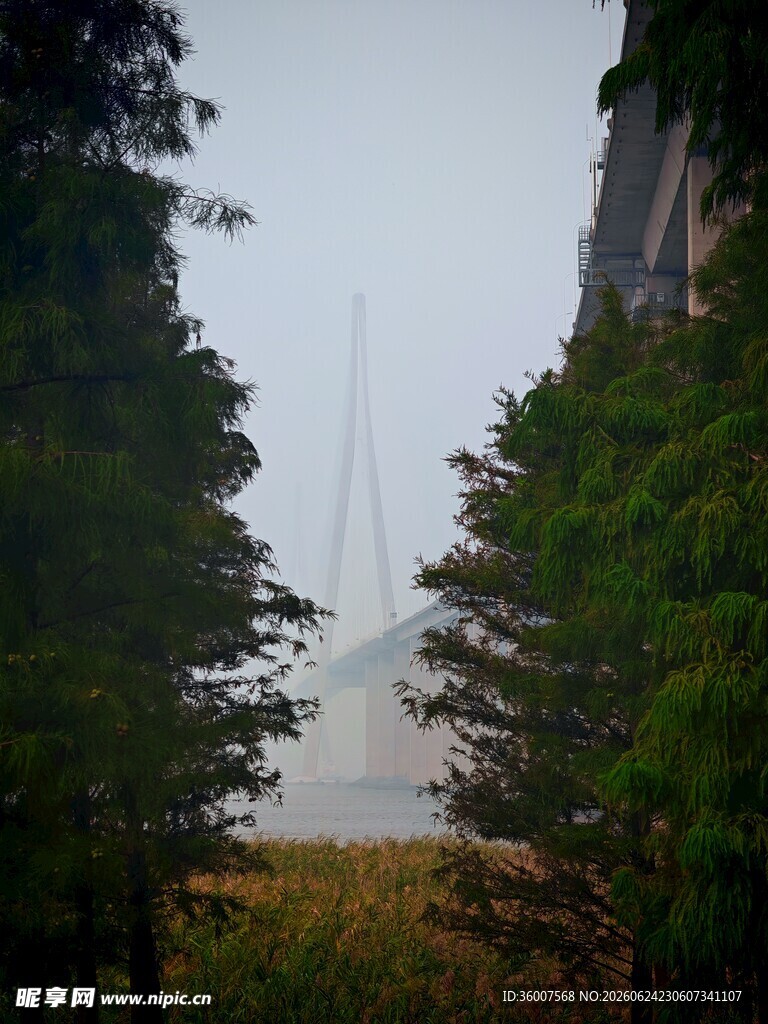 苏通大桥