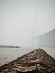 苏通海岸