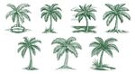 椰树手绘素材
