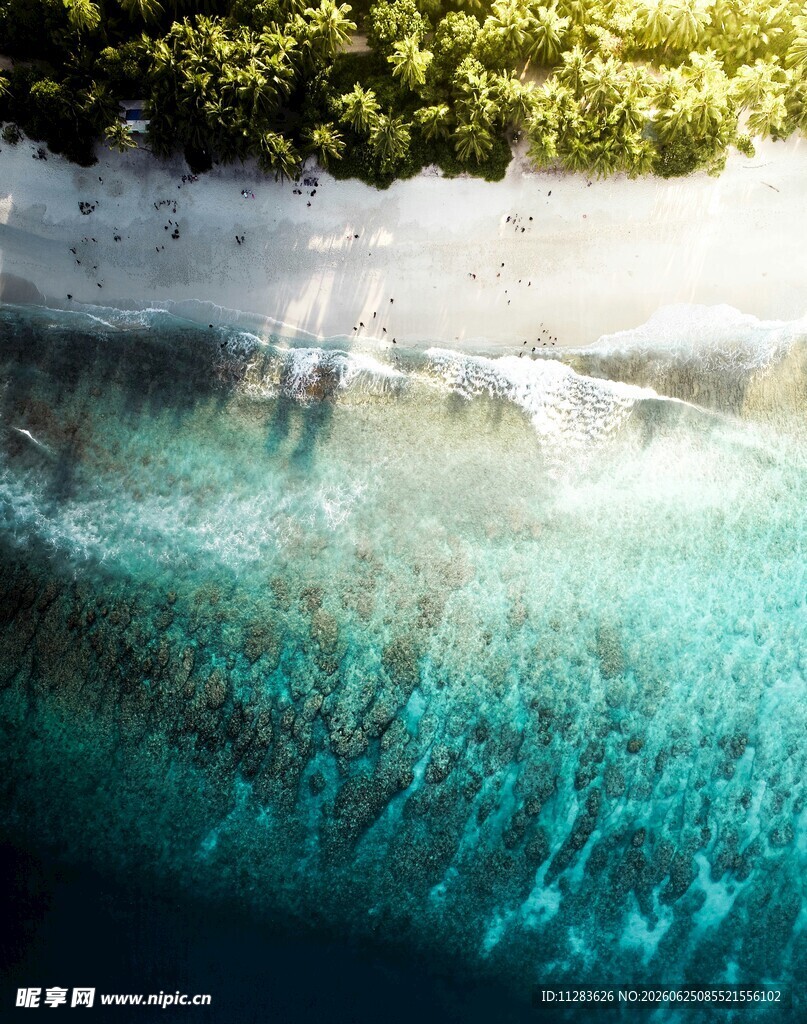 清澈海底的缤纷水下世界