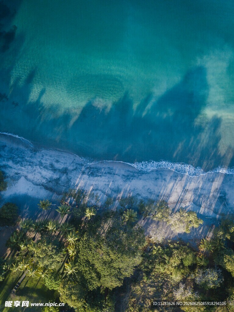 海底珊瑚景观