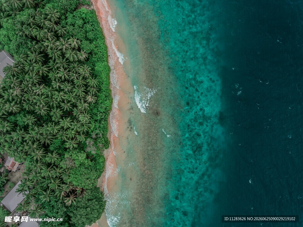 俯瞰碧海绿树的美丽海岸