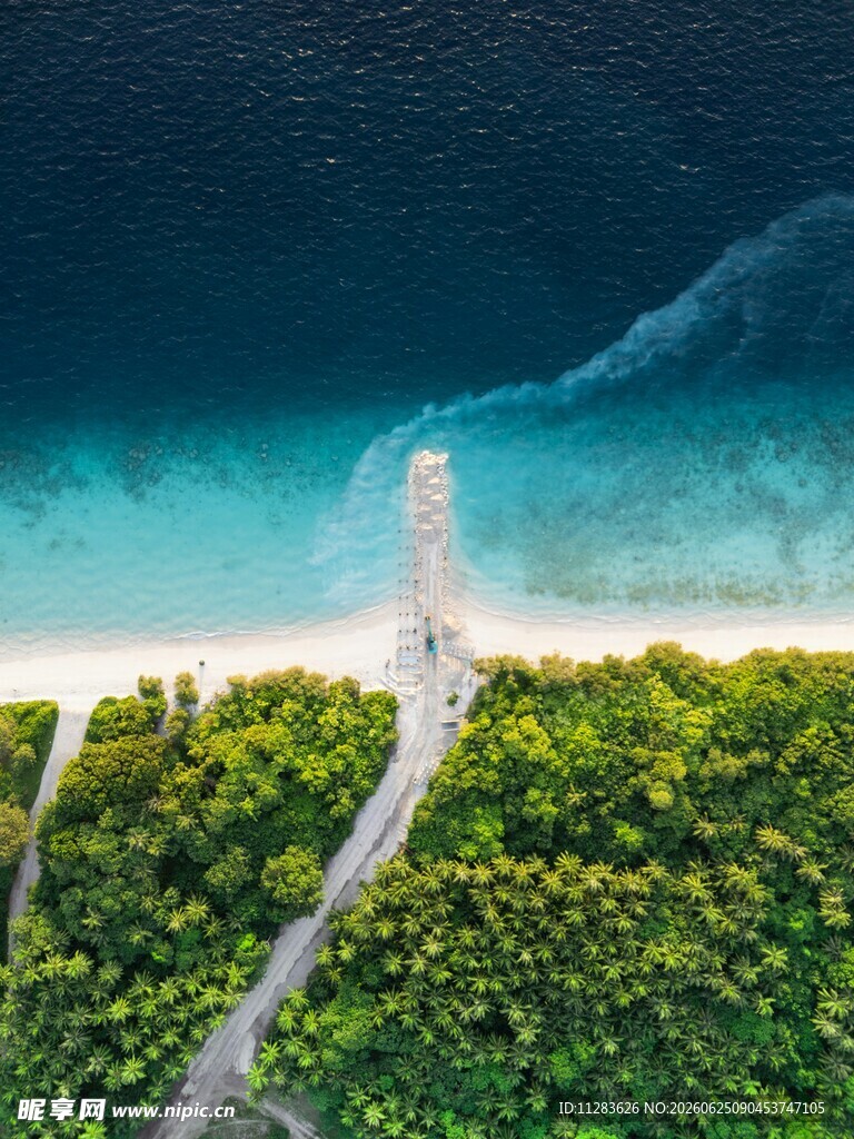 俯瞰海边绿意与蜿蜒小路
