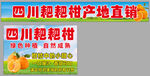 四川粑粑柑