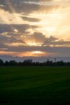 夕阳下的广袤绿色田野