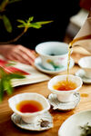 中式茶艺优雅的泡茶瞬间