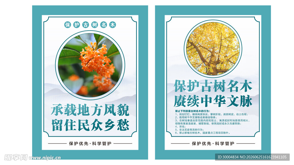 保护古树名木宣传海报
