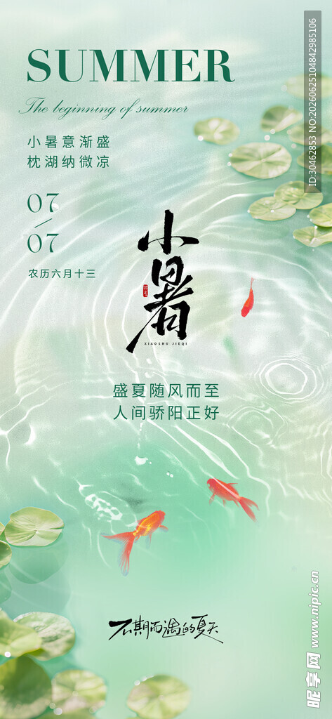 小暑小清新节气海报