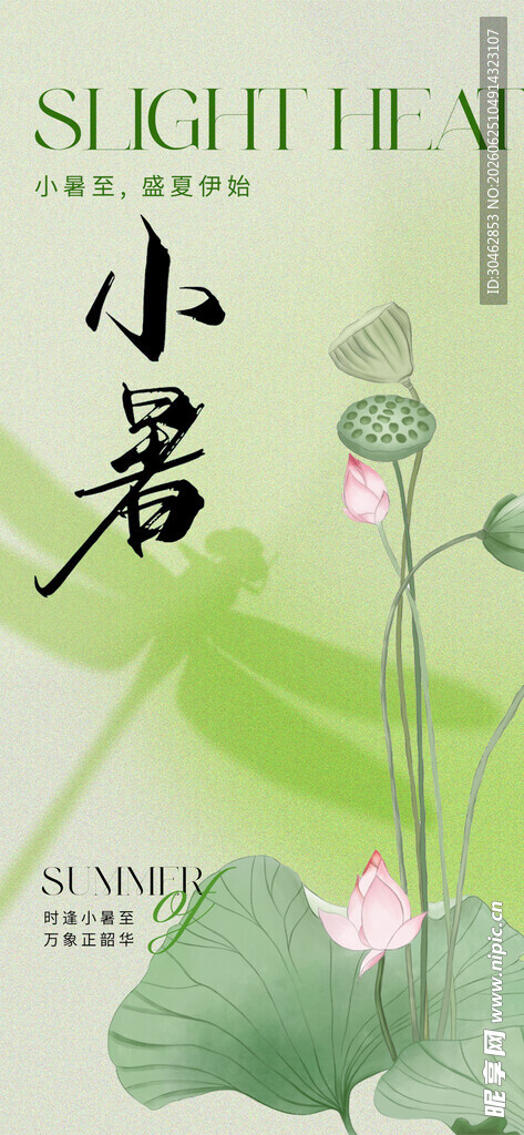 小暑节气荷花清新海报