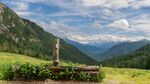 山林草地风景