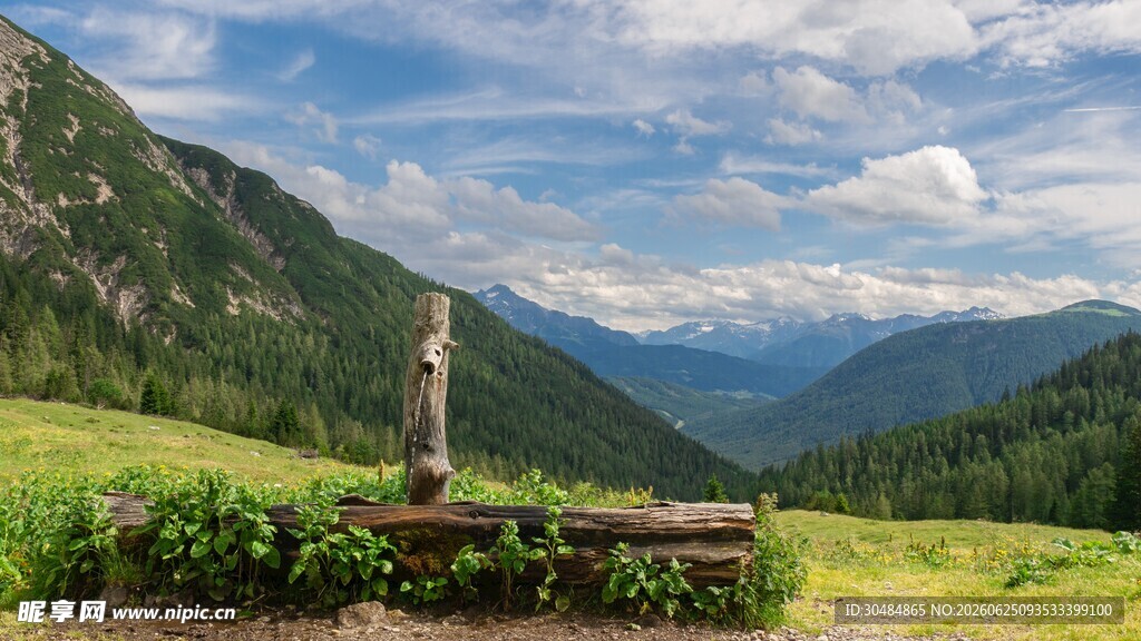 山林草地风景