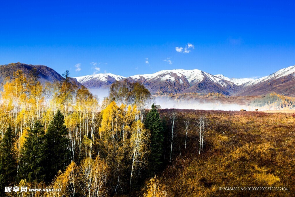 秋日山林远山风景
