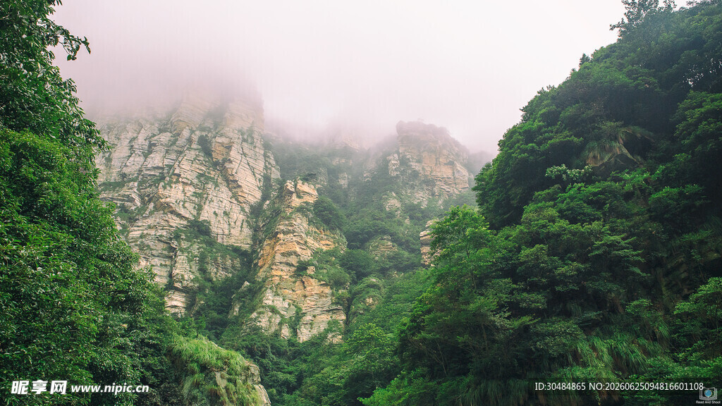云雾缭绕的山林风景