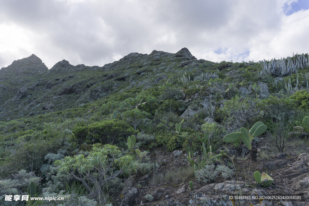 山峦绿植景观