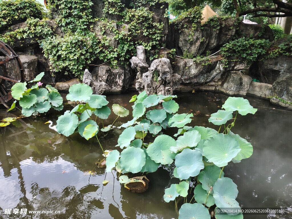 中式庭院荷塘景致