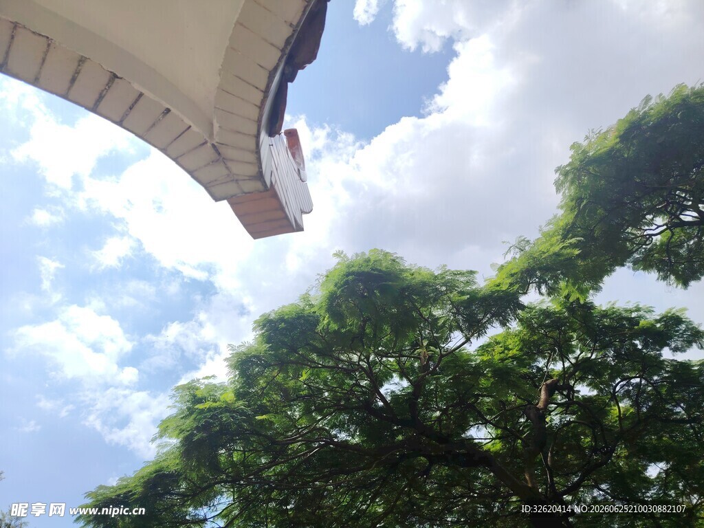 屋檐下的绿树蓝天