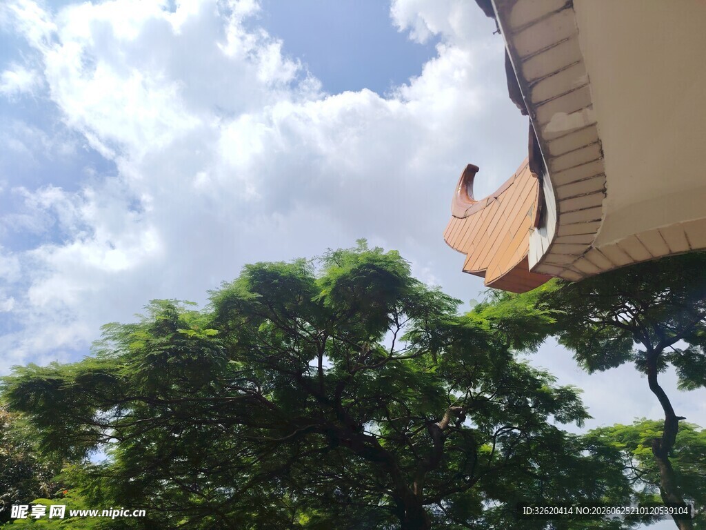 屋檐 绿树