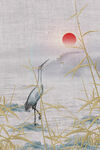 夕阳下的鹭鸟于芦苇间