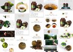 青柑茶