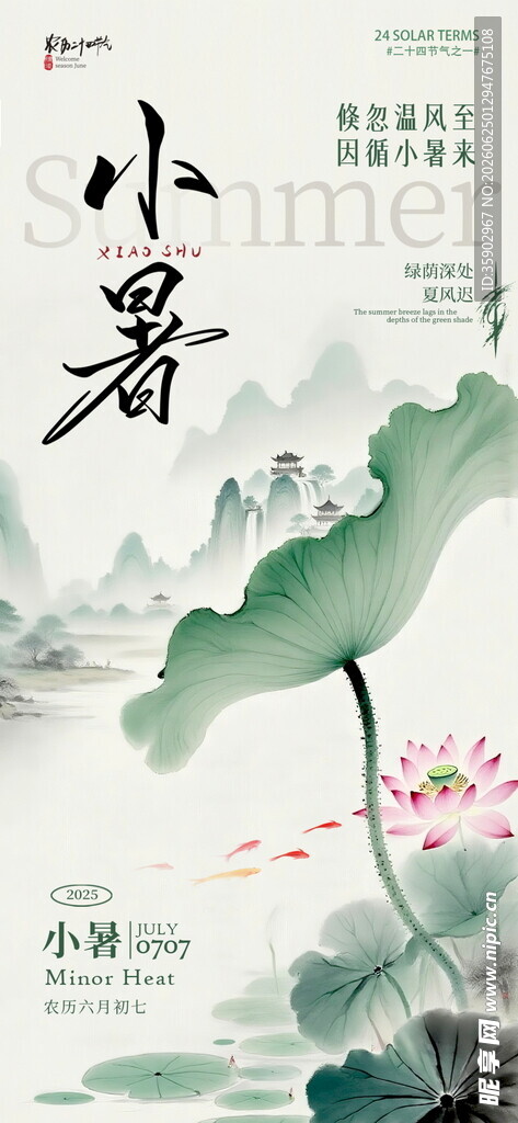 小暑时节荷花绽放图景