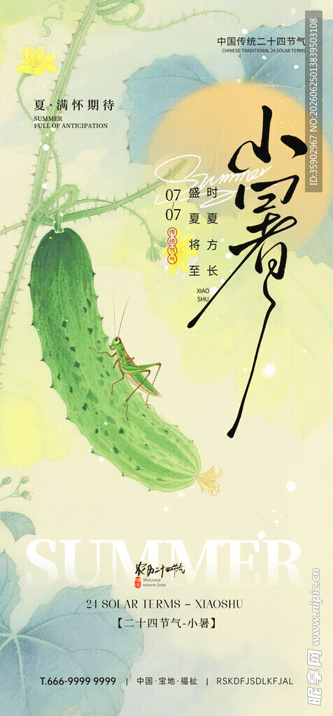 清新小暑节气插画设计