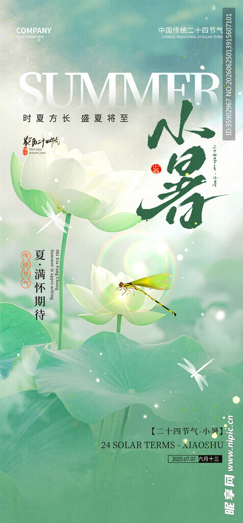夏日清新风绿意与游鱼