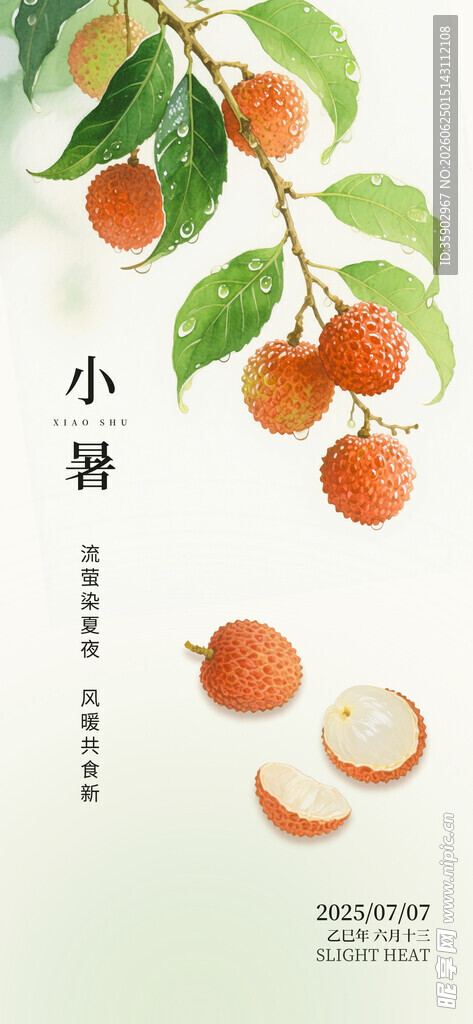 小暑时节的诱人黄皮果