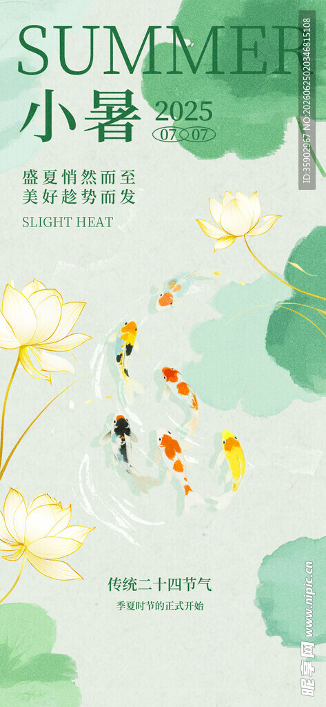 夏日小暑荷塘清新插画