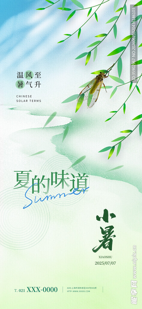 绿野林间悠游的蜻蜓