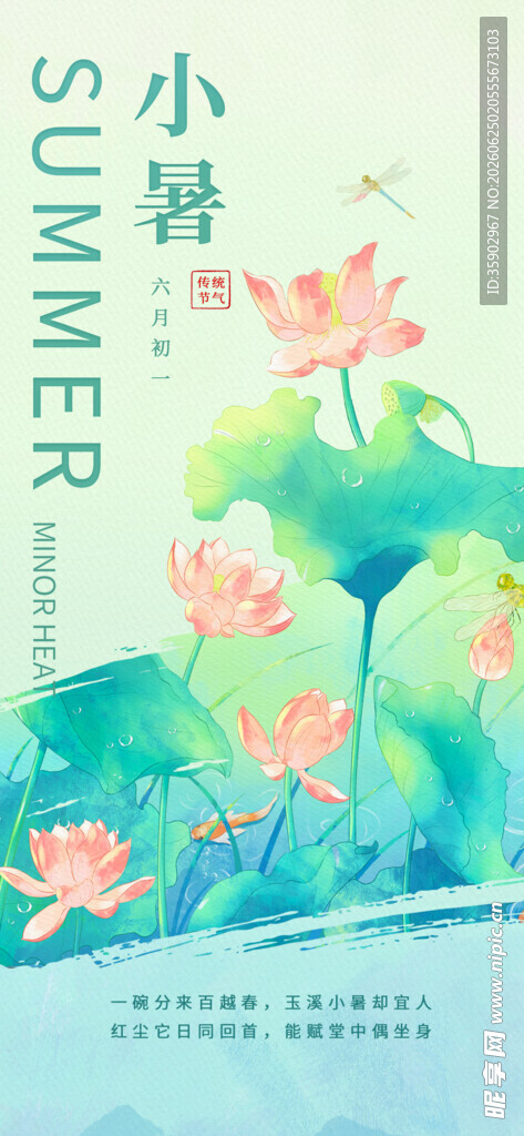 夏日小暑荷花清新图景