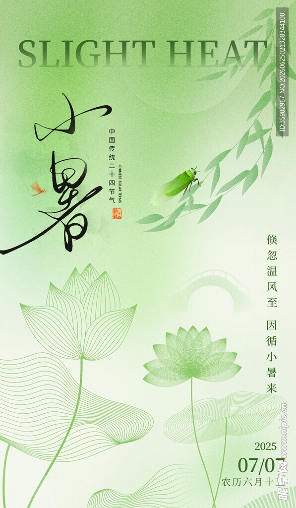 小暑时节清新荷花图景