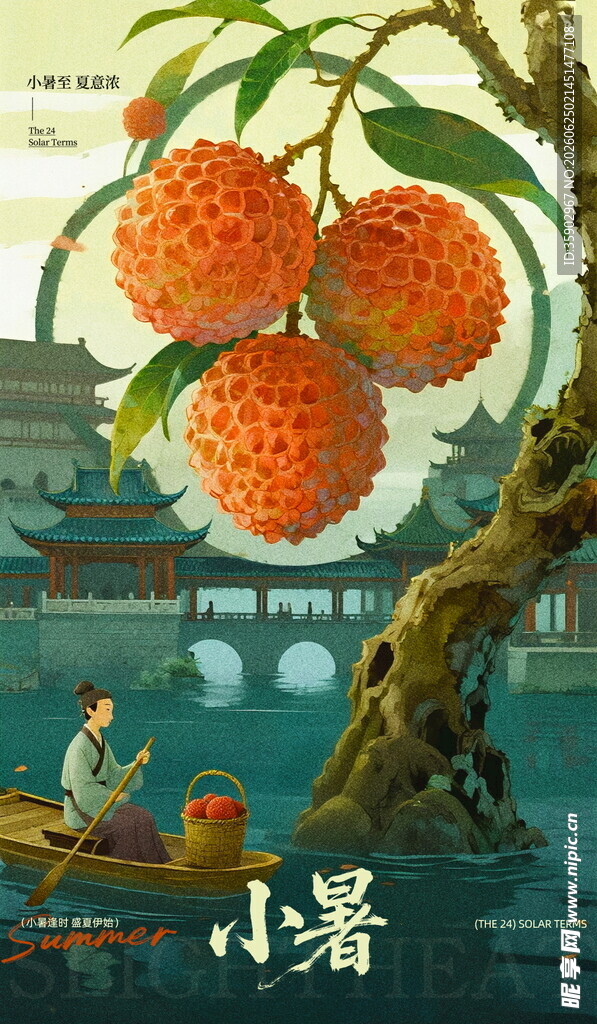 小暑时节荔枝满枝景象