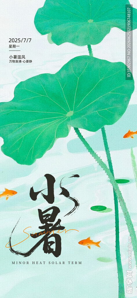 小暑时节的荷塘景致