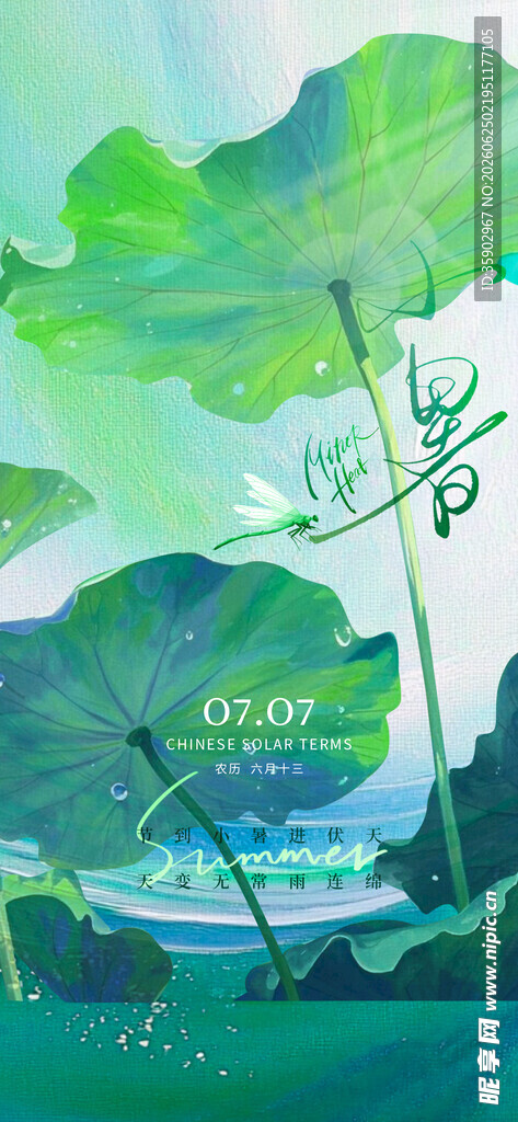 夏日荷塘绿意盎然