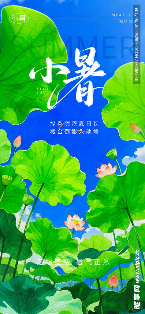 小暑时节绿意盎然景象