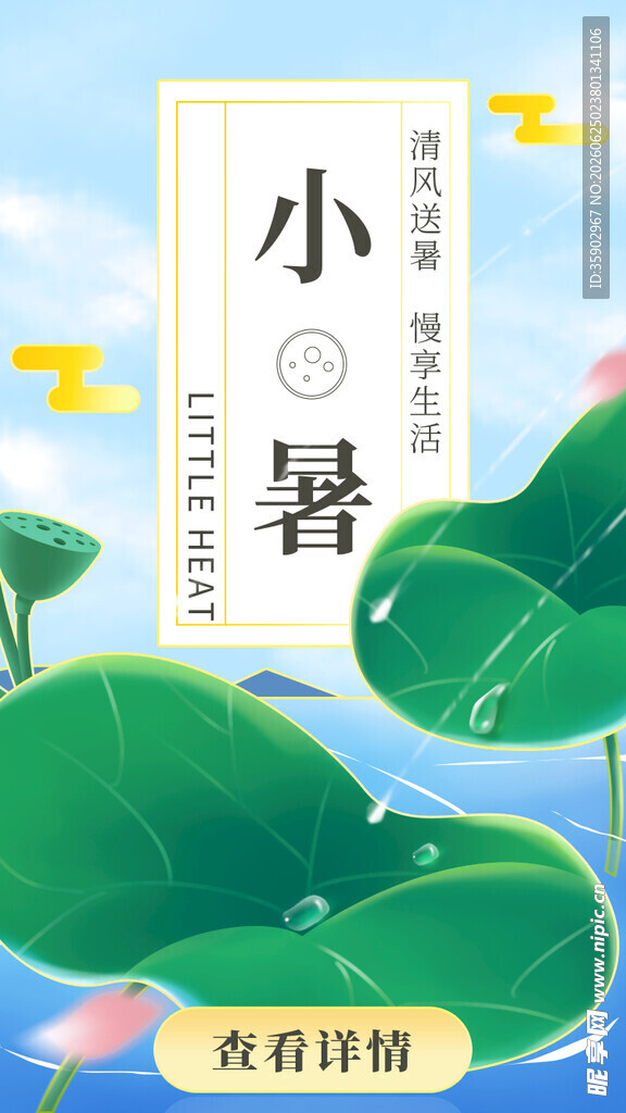 小暑时节的清新荷塘景象