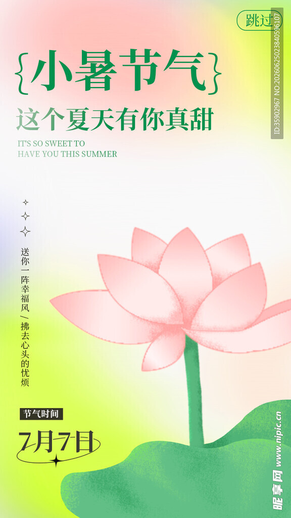 小暑时节的粉嫩荷花