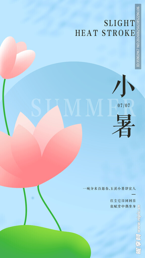 小暑时节的清新荷花图