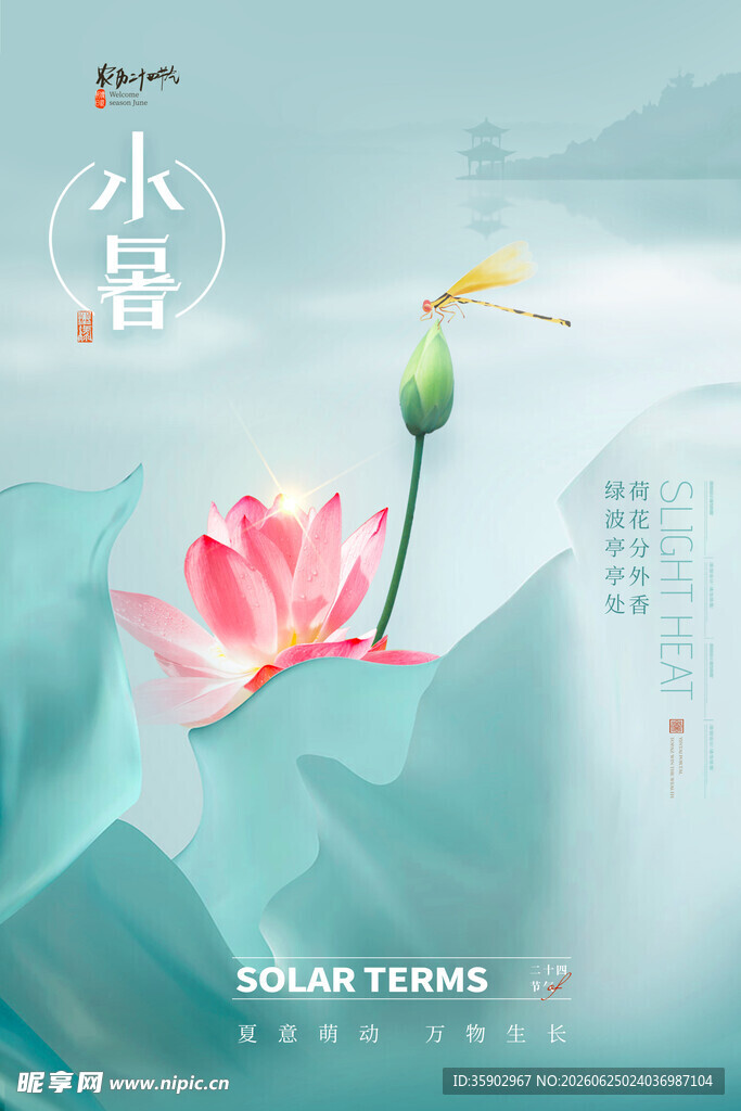 小暑时节荷花蜻蜓图