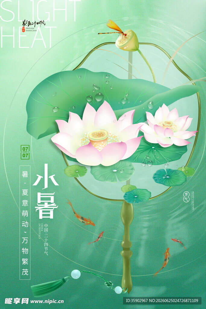 小暑时节荷塘美景