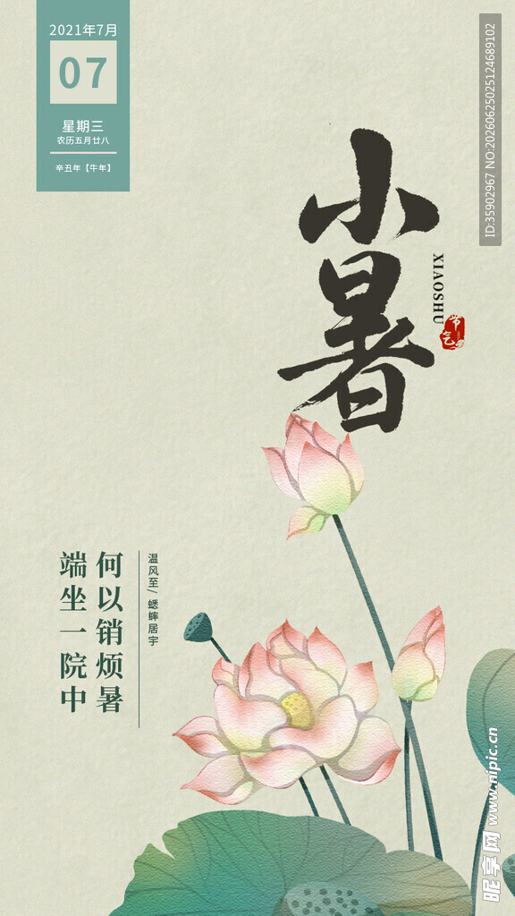 小暑时节荷花绽放图