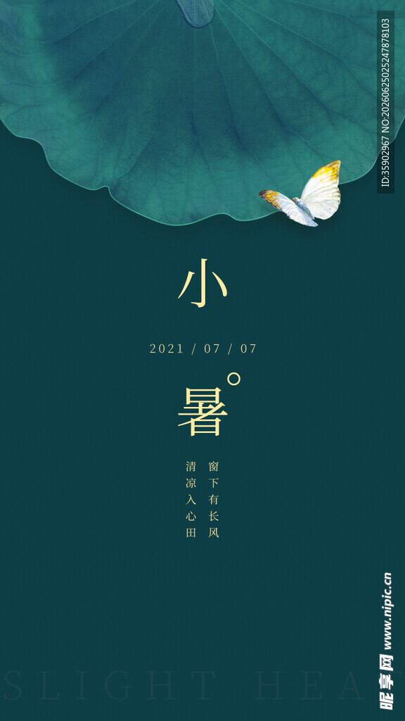 小暑时节荷叶蜻蜓相伴