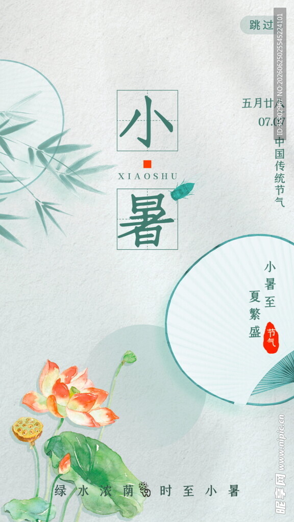 小暑时节荷花翠竹相伴