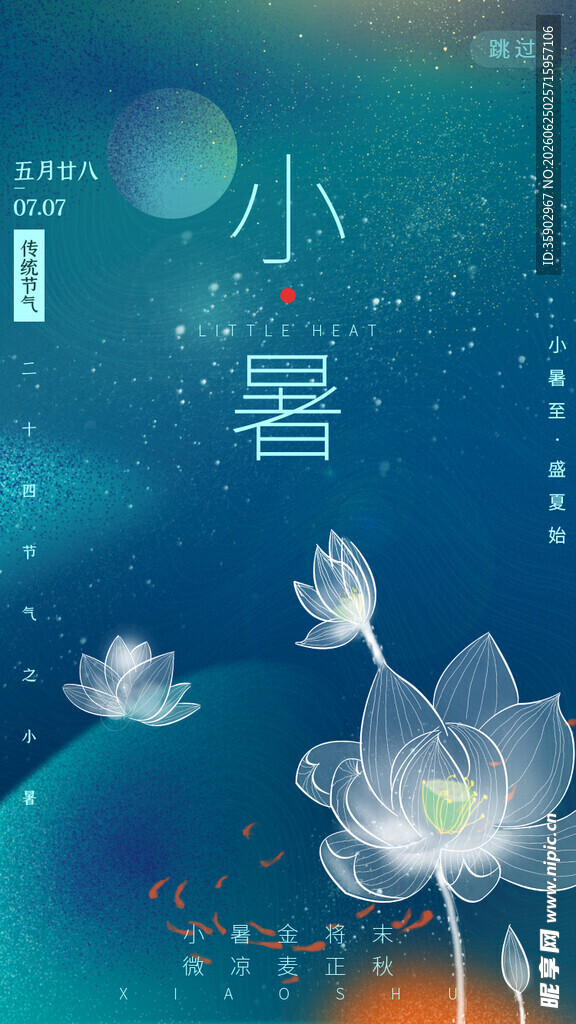 小暑时节荷花月夜美景