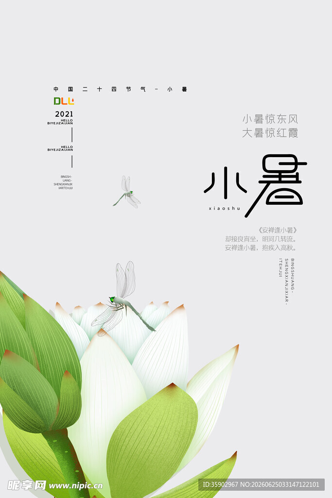 小暑时节清新荷花绽放