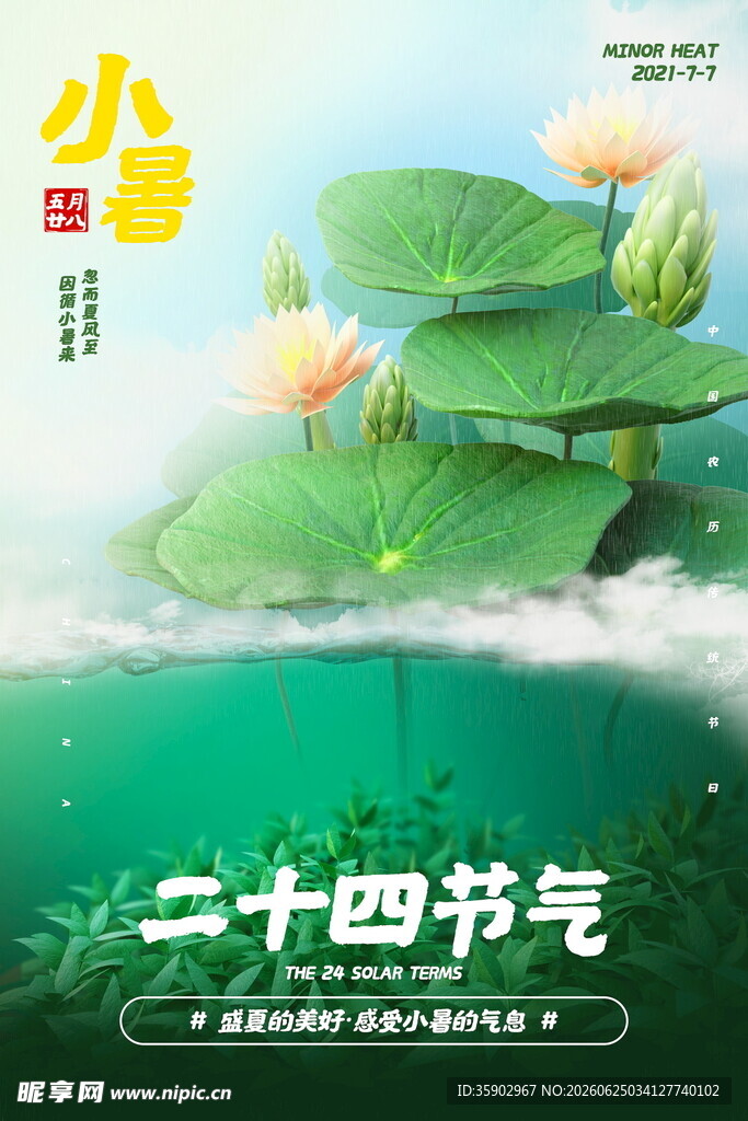 小暑节气海报荷韵悠悠