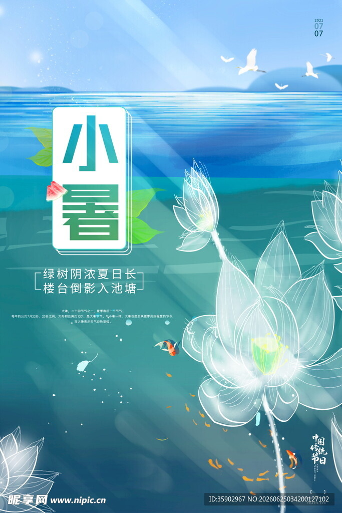 小暑时节的清新荷塘景色