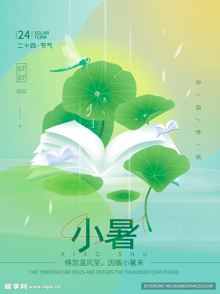 小暑时节书香绿意插画