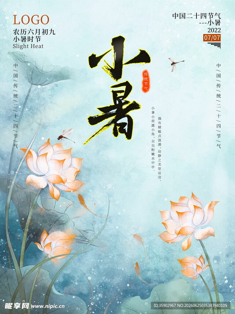 小暑时节荷花绽放图景